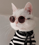 Фотография WriteDh