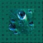 Фотография serezhkamu